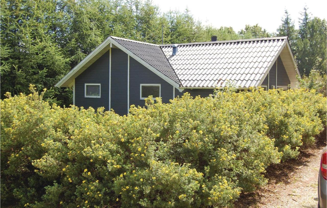 Pet Friendly Home In Oksbol With Wifi Esterno foto